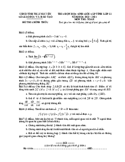 Đề thi học sinh giỏi cấp tỉnh Toán 11 năm 2023 – 2024 sở GD&ĐT Thái Nguyên