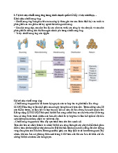 Khái Niệm, Vai Trò & Phân Tích Toàn Cầu | Môn Quản trị chuỗi cung ứng quốc tế - Đại học Kinh Tế Quốc Dân
