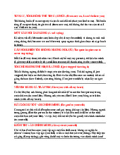 The Garden of Youth - Tài liệu tổng hợp