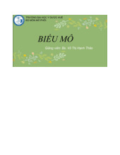 Bài giảng Biểu mô - Trình bày được định nghĩa, nguồn gốc, chức năng của biểu mô