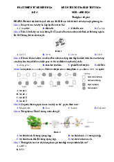 Đề thi thử tốt nghiệp THPT 2025 môn Sinh học bám sát đề minh họa - Đề 37