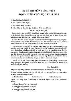 13 đề thi môn Tiếng Việt (đọc - hiểu) cuối học kì 2 lớp 5 năm 2024