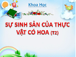 Giáo án điện tử Khoa học 5 Cánh diều: Sự sinh sản của thực vật có hoa (T2)