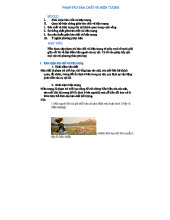 Phân Tích Bản Chất và Hiện Tượng trong Triết Học