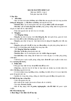 Giáo án Khoa học tự nhiên 6 sách Kết nối tri thức với cuộc sống Bài 30