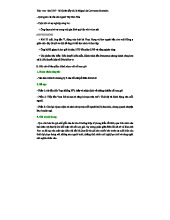 Phân tích đoạn trích "Đánh nhau với cối xay gió" - Xéc-van-tét (Tác phẩm nổi tiếng)