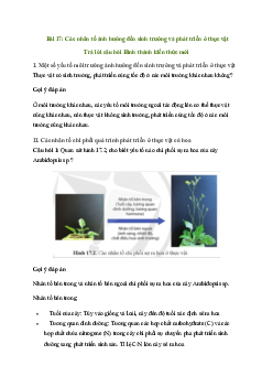 Bài 17: Các nhân tố ảnh hưởng đến sinh trưởng và phát triển ở thực vật | Giải Sinh 11 Cánh diều