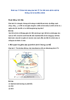 Sinh học 11 Chân trời sáng tạo bài 27: Cơ thể sinh vật là một hệ thống mở và tự điều chỉnh