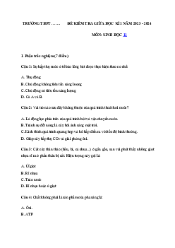 Đề thi giữa học kì 1 môn Sinh học 11 năm 2023 - 2024 sách Cánh diều