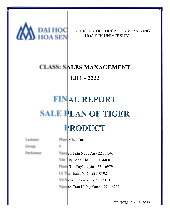 Sale Plan for Tiger Beer | Báo cáo Quản trị bán hàng
