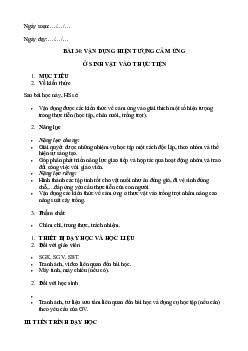 Giáo án Bài 34: Vận dụng hiện tượng cảm ứng ở sinh vật vào thực tiễn | Khoa Học Tự Nhiên 7 Kết nối tri thức