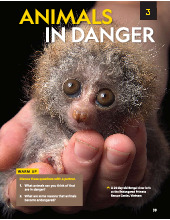 Unit 3: Animal in danger môn IELTS | Học viện Phụ nữ Việt Nam