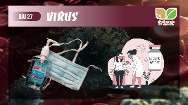 Giáo án điện tử Khoa học tự nhiên 6 bài 29 Kết nối tri thức : Virus