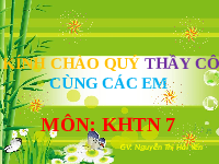 Giáo án điện tử Khoa học tự nhiên 7 bài 16 Chân trời sáng tạo : Sự phạn xạ ánh sáng