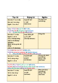 Động từ và các trợ từ