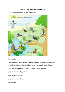 Soạn bài Thế giới rừng xanh (trang 55) | Tiếng việt 2 Sách Cánh diều