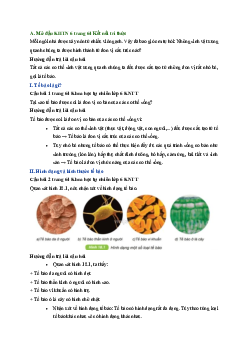 Giải Khoa học tự nhiên 6 - Bài 18 Tế bào - Đơn vị cơ bản của sự sống | Kết nối tri thức