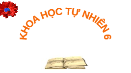 Giáo án điện tử Khoa học tự nhiên 6 bài 17 Chân trời sáng tạo : Tế Bào