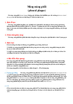 Mảng màng phổi (Pleural Plaque) và Chẩn Đoán Qua CT môn Lý sinh | Trường Đại Học Y Dược Thái Bình