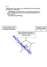 Đề cương Môi trường và lợi thế cạnh tranh môn Kinh tế tài nguyên | Học viện Nông nghiệp Việt Nam