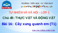 Giáo án điện tử Tự nhiên và xã hội 1 bài 16 Chân trời sáng tạo : Cây xung quanh em