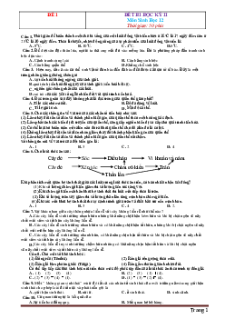 TOP 7 đề thi học kỳ II môn sinh 12 (có đáp án)
