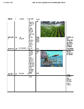 Vocab - Key Terms on Irrigation and Environmental Impact môn English Studies| Trường Đại học Thăng Long