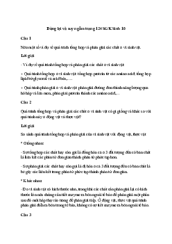 Sinh học 10 Bài 21: Trao đổi chất, sinh trưởng và sinh sản ở vi sinh vật - Kết Nối Tri Thức