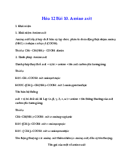 Hóa 12 bài 10: Amino axit