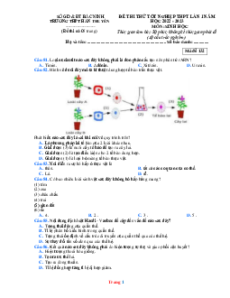 Đề Thi Thử Tốt Nghiệp 2023 Môn Sinh THPT Hàn Thuyên Lần 1 (Có Đáp Án)