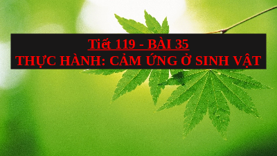 Giáo án điện tử Khoa học tự nhiên 7 bài 35 Kết nối tri thức : Thực hành Cảm ứng ở sinh vật