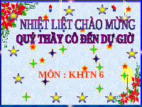 Giáo án điện tử Khoa học tự nhiên 6 bài 6 Kết nối tri thức : Đo khối lượng
