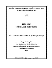 Bài tiểu luận mẫu môn Pháp luật đại cương | Đại học Hà Tĩnh