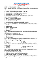 Đề thi học kỳ 1 môn Lịch sử & Địa Lý lớp 9 năm học 2024 - 2025  | Bộ sách Cánh diều