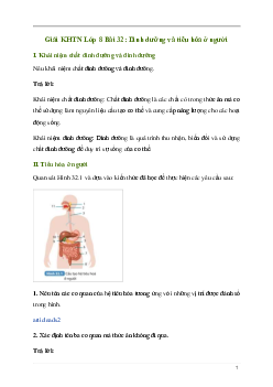 Giải KHTN 8 Bài 32: Dinh dưỡng và tiêu hóa ở người | Kết nối tri thức