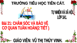 Giáo án điện tử TN&XH 3 Bài 21 Kết nối tri thức: Chăm sóc và bảo vệ cơ quan tuần hoàn