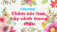 Giáo án điện tử Công nghệ 4 Bài 5 Chân trời sáng tạo: Chăm sóc hoa và cây cảnh trong chậu