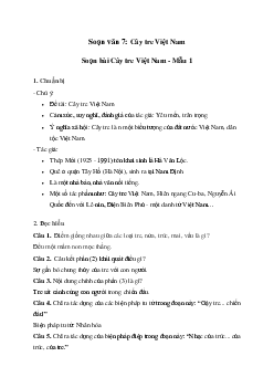 Cây tre Việt Nam | Soạn văn 7 Cánh diều