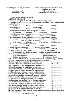 Đề Thi Chọn Học Sinh Giỏi Lớp 11 THPT Tỉnh Hà Tĩnh Năm Học 2010-2011 Không Đáp Án