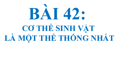 Bài giảng điện tử môn Khoa học tự nhiên 7  Sinh Học Bài 42: Cơ thể sinh vật là một thể thống nhất | Kết nối tri thức
