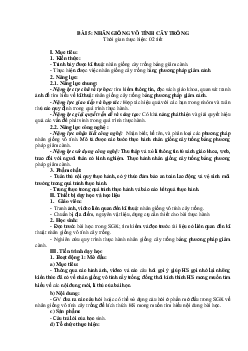 Giáo án Bài 5: Nhân giống vô tính cây trồng Công nghệ 7 | Kết nối tri thức