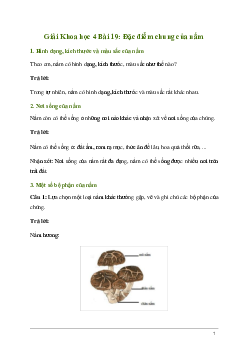 Giải Khoa học lớp 4 Bài 19: Đặc điểm chung của nấm | Kết nối tri thức