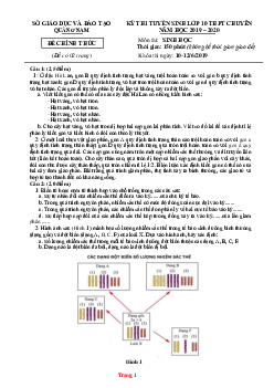 Đề thi vào 10 chuyên Sinh Sở GD Quảng Nam 2019-2020 (có đáp án)