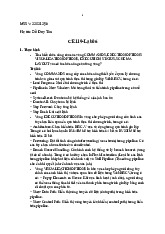 CE119 - Lab 06: Functionality of WebRISCV Commands and Options. Môn Thực hành môn kiến trúc máy tính | Đại học Trường Đại học Công nghệ thông tin, Đại học Quốc gia Thành phố Hồ Chí Minh.