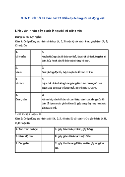 Sinh 11 Kết nối tri thức bài 12: Miễn dịch ở người và động vật