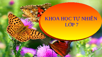 Giáo án điện tử Khoa học tự nhiên 7 bài 37 Kết nối tri thức : Ứng dụng sinh trưởng và phát triển ở sinh vật vào thực tiễn