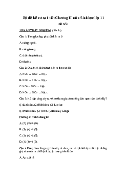 Bộ đề kiểm tra 1 tiết Chương II môn Sinh học lớp 11| Kết nối tri thức