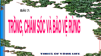 Giáo án điện tử Công nghệ 7 Bài 7 Chân trời sáng tạo: Trồng, chăm sóc và bảo vệ rừng