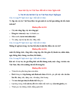 Soạn bài Cây tre Việt Nam | Ngữ Văn 6 Kết Nối Tri Thức