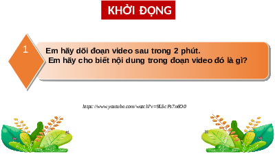 Giáo án điện tử Khoa học tự nhiên 7 bài 29 Kết nối tri thức : Vai trò của nước và chất dinh dưỡng đối với sinh vật